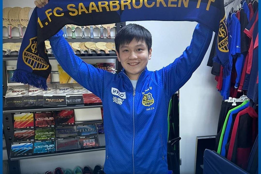 樊振东完成欧冠联赛注册！率队三线争冠，林高远领衔多位国手加盟